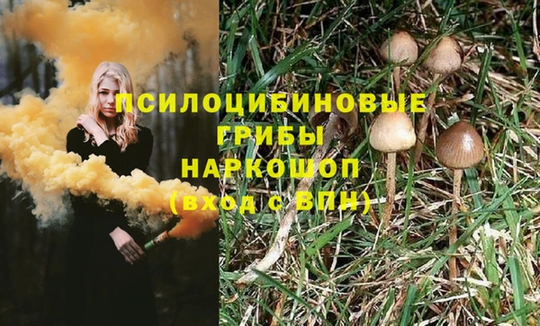 apvp Абаза