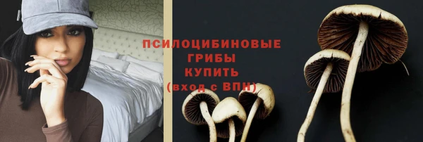 трава Алзамай