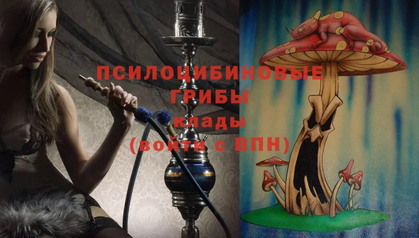 ECSTASY Алексеевка