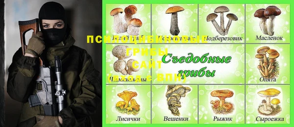 ECSTASY Алексеевка