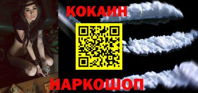 Альфа ПВП Можга