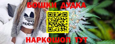 Альфа ПВП Можга