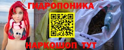 Альфа ПВП Можга