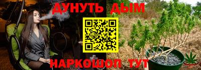 Альфа ПВП Можга
