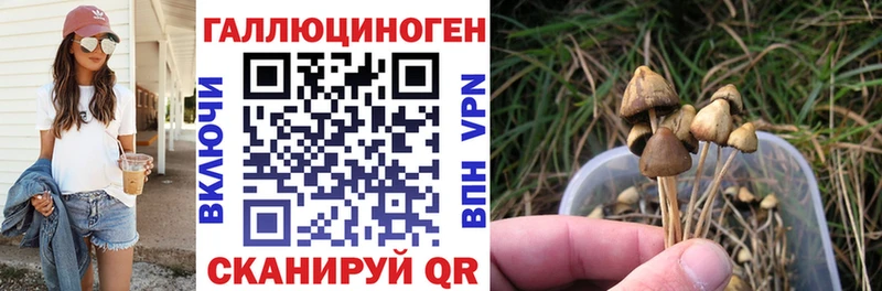 Псилоцибиновые грибы Magic Shrooms Уфа
