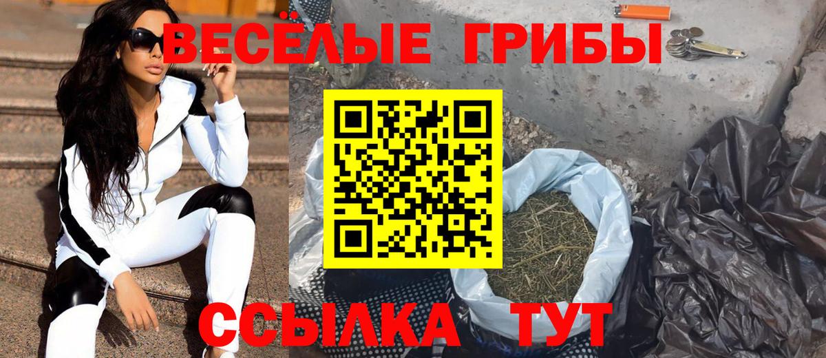 Псилоцибиновые грибы Magic Shrooms Уфа