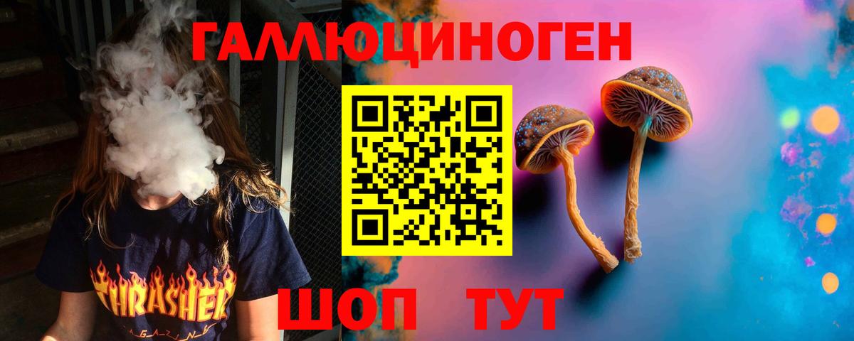 Псилоцибиновые грибы мицелий  Псилоцибиновые грибы Psilocybe  Уфа  Вход с VPN 